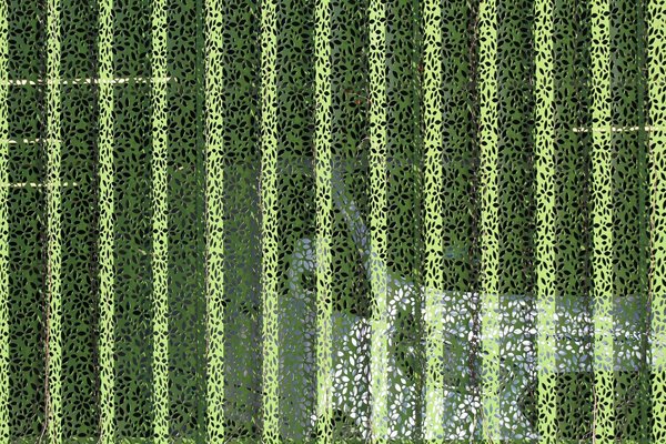 Quels sont les principaux types d'énergies renouvelables ?