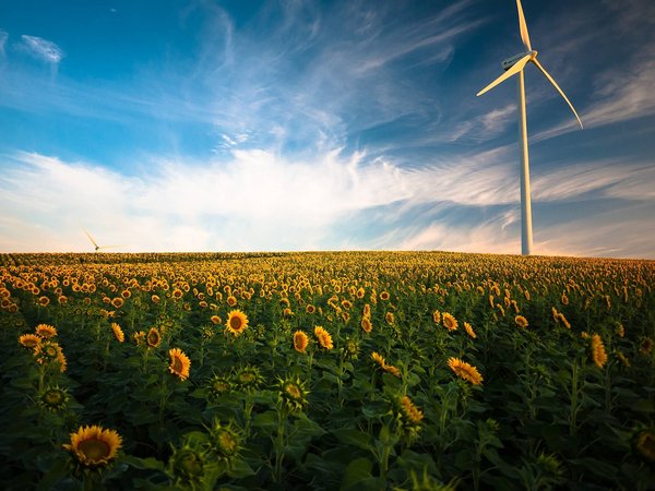Quels sont les impacts environnementaux et sociaux des énergies renouvelables ?